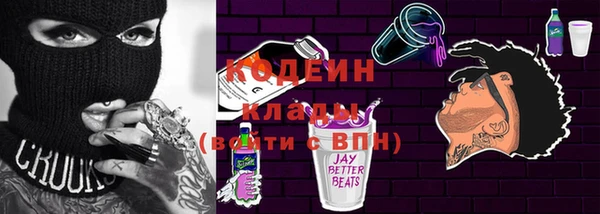 хмурый Белокуриха