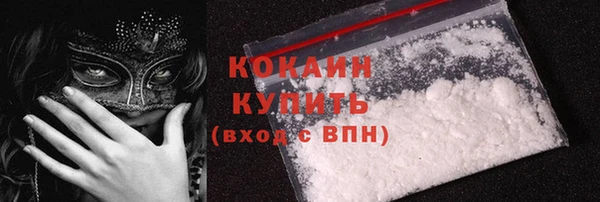 хмурый Белокуриха