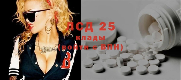хмурый Белокуриха