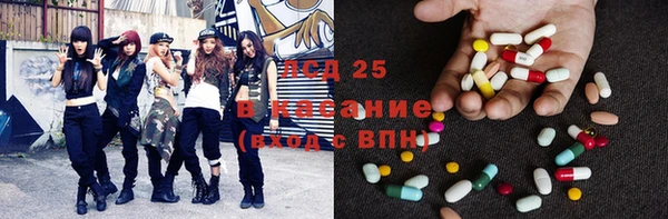 хмурый Белокуриха