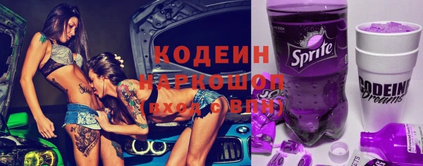 хмурый Белокуриха