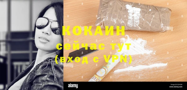 хмурый Белокуриха