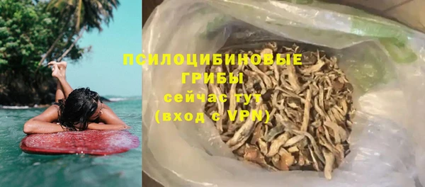 хмурый Белокуриха