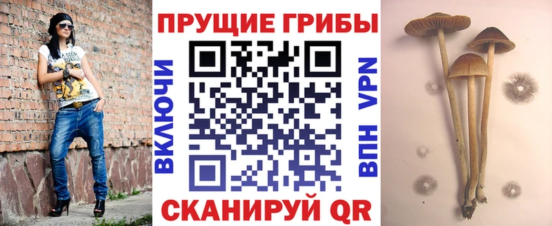 это формула  Маркс  Псилоцибиновые грибы Cubensis 